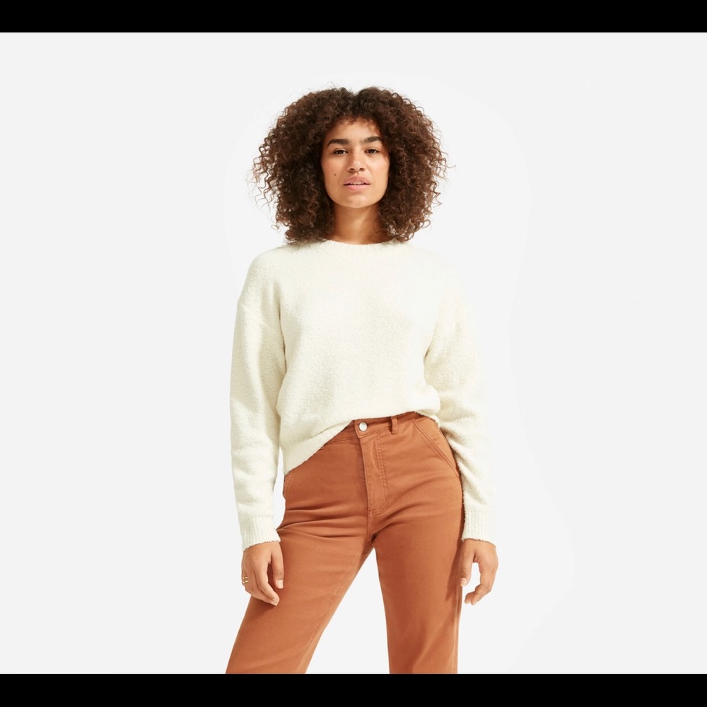 Everlane The Teddy Crew Neck Sweater
